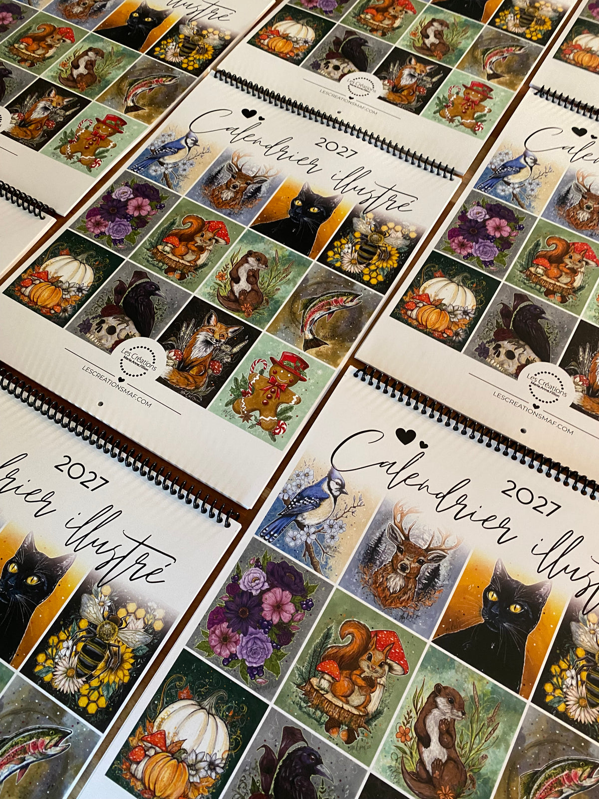 Calendrier Illustré 2027